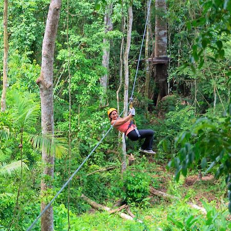 Avatar Amazon Lodge & Canopy Park Santa Teresa  外观 照片