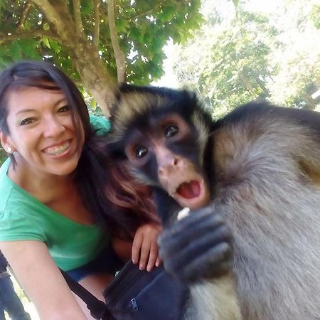 Avatar Amazon Lodge & Canopy Park Santa Teresa  外观 照片
