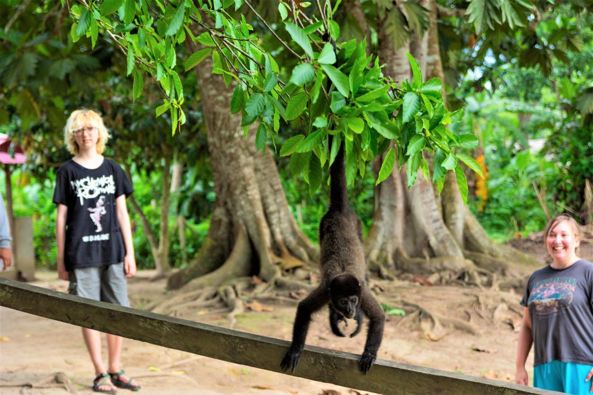 Avatar Amazon Lodge & Canopy Park Santa Teresa  外观 照片