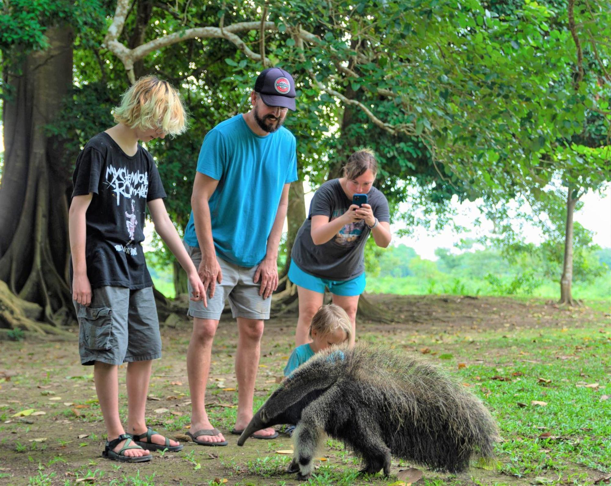 Avatar Amazon Lodge & Canopy Park Santa Teresa  外观 照片